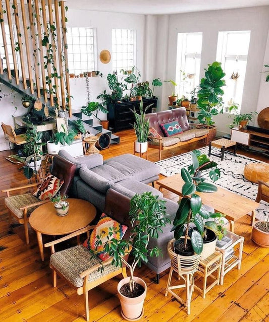 The Holistic Benefits of Indoor Plants: A Comprehensive Guide