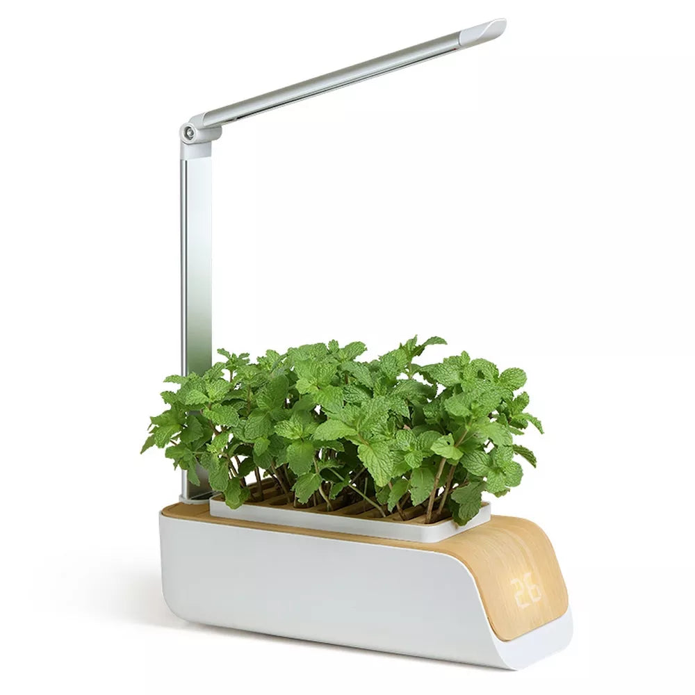 Nature's Touch: The Ultimate Smart Garden Planter for Your Home